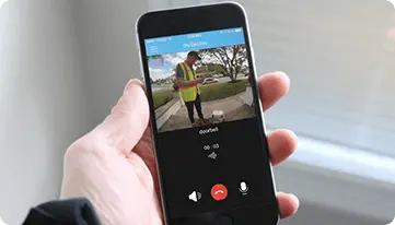 81743832