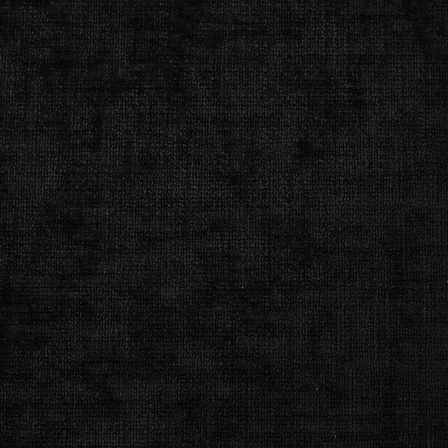 81675823