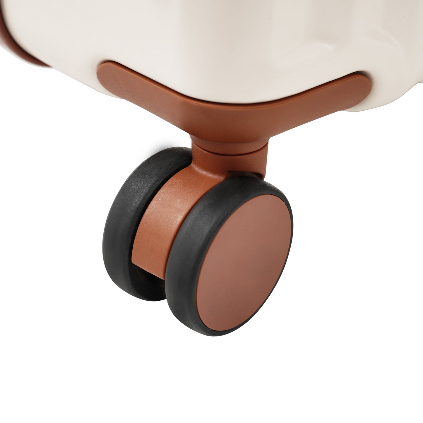 81677255